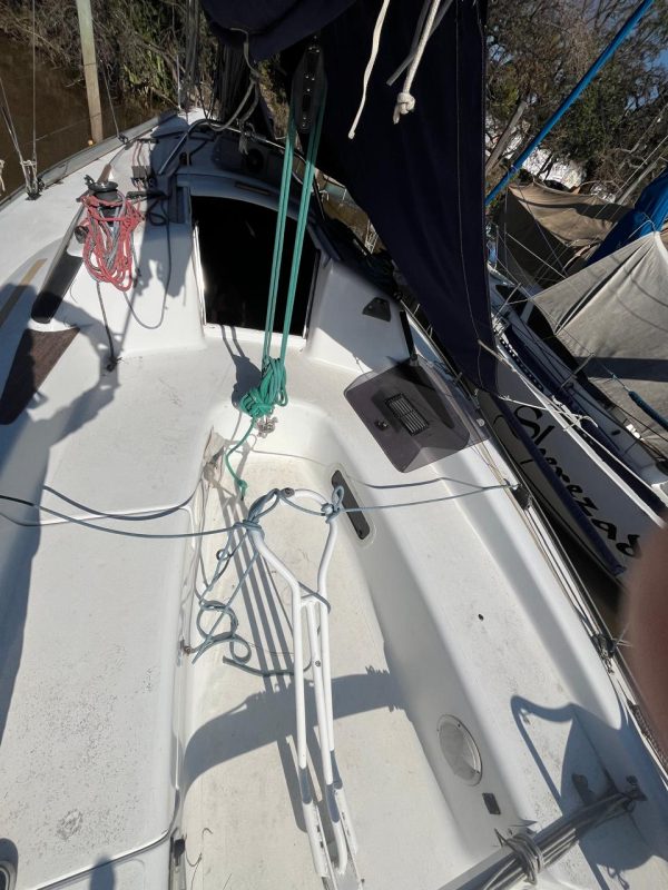 Bramador 28’ Nova - Image 7