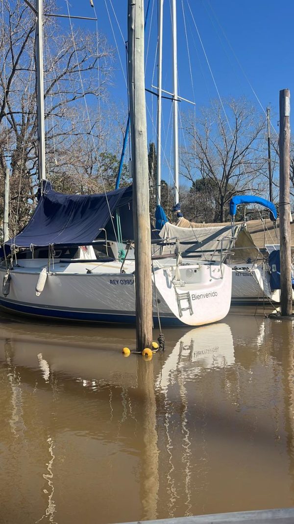 Bramador 28’ Nova - Image 16