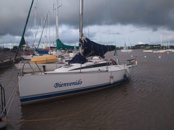 Bramador 28’ Nova - Image 19