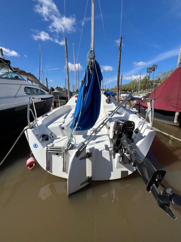 Mystic Malbec 240 - Image 3