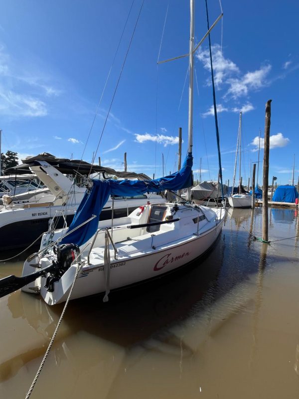 Mystic Malbec 240 - Image 4