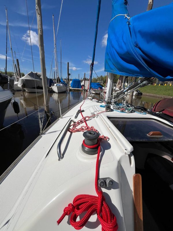 Mystic Malbec 240 - Image 9