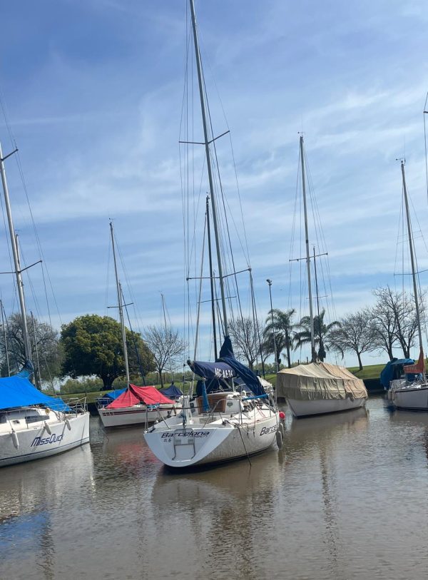 Sailor 875 - Image 13