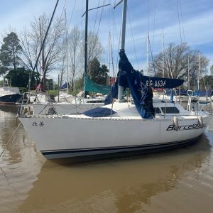 Sailor 875
