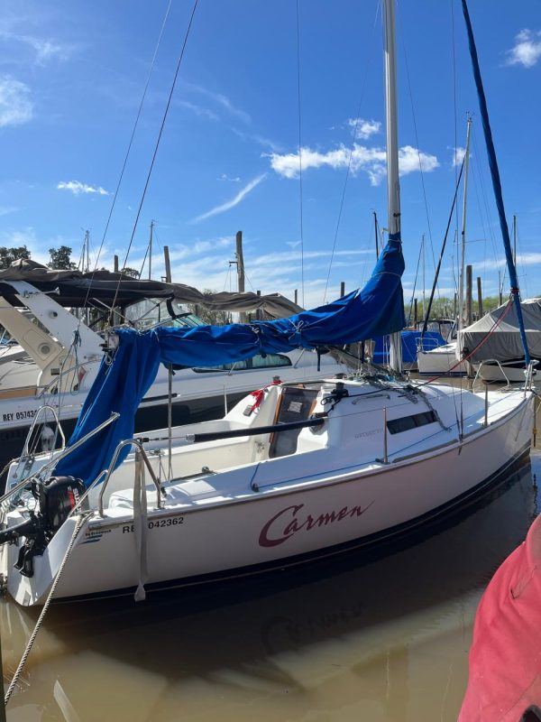 Mystic Malbec 240