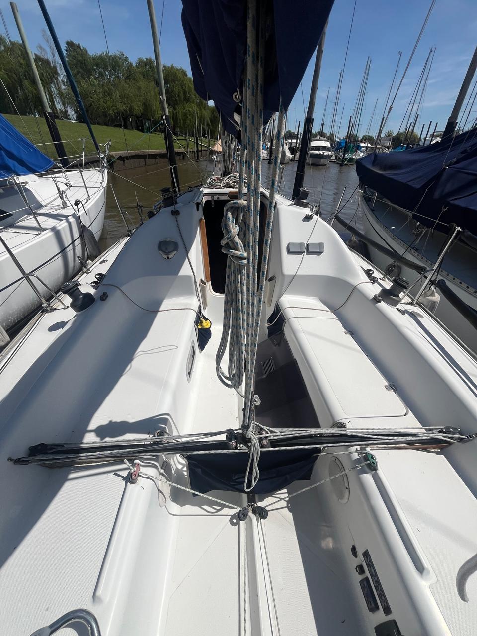 Mystic 290 - Image 5