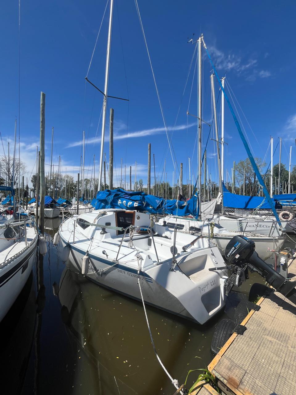 Liberty 24’ - Image 6