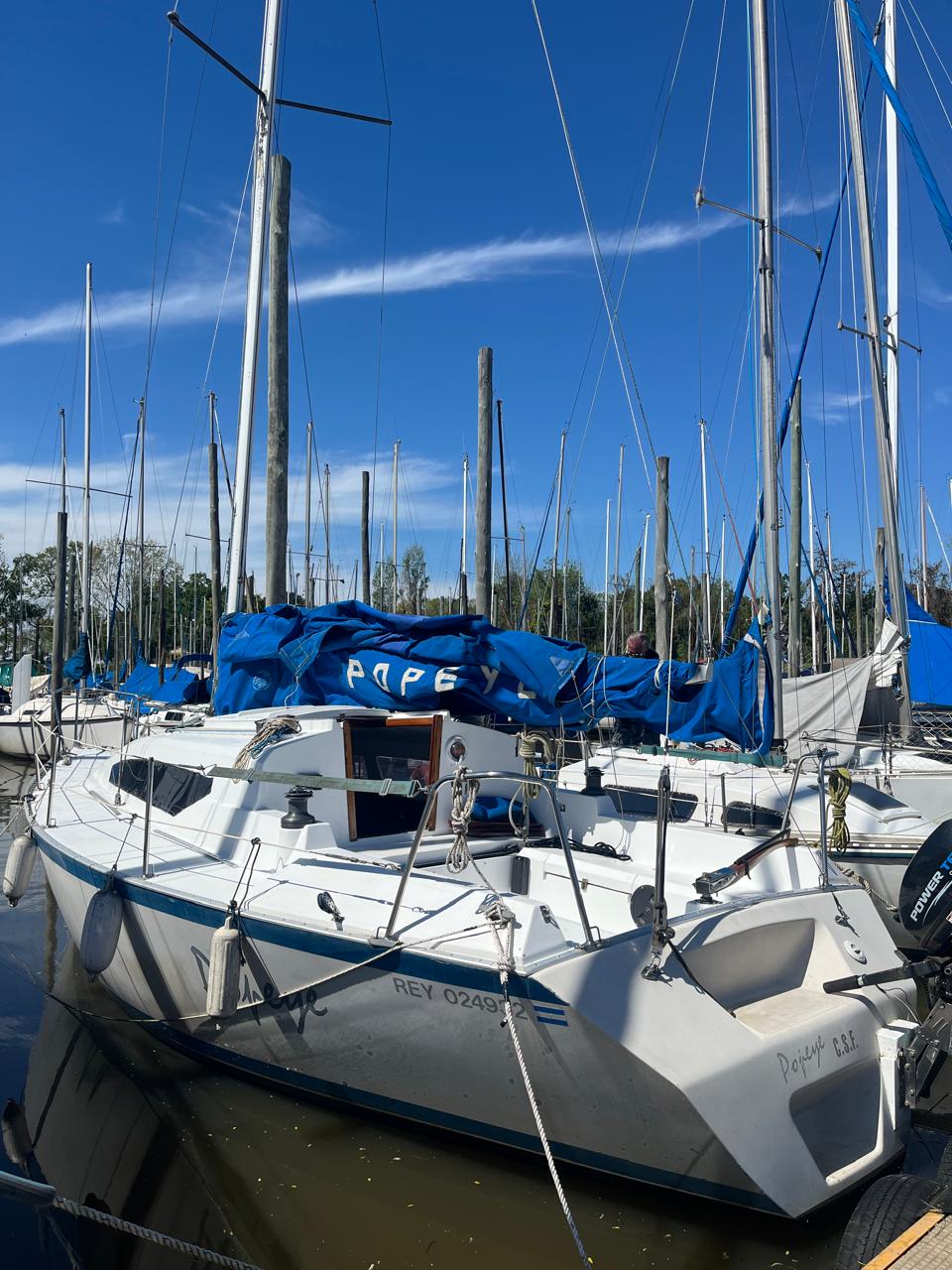 Liberty 24’ - Image 7