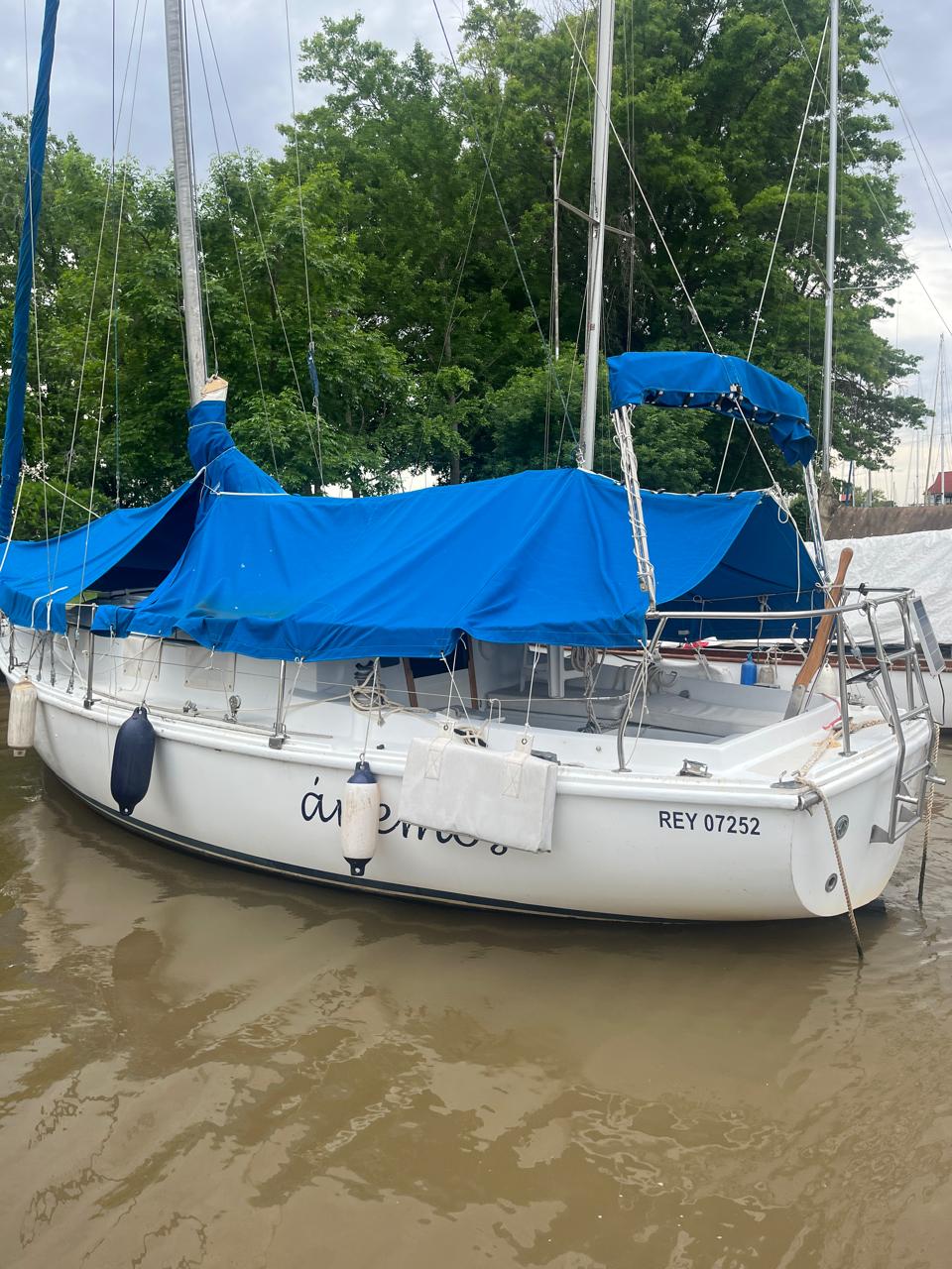 Henny 28’ - Image 2