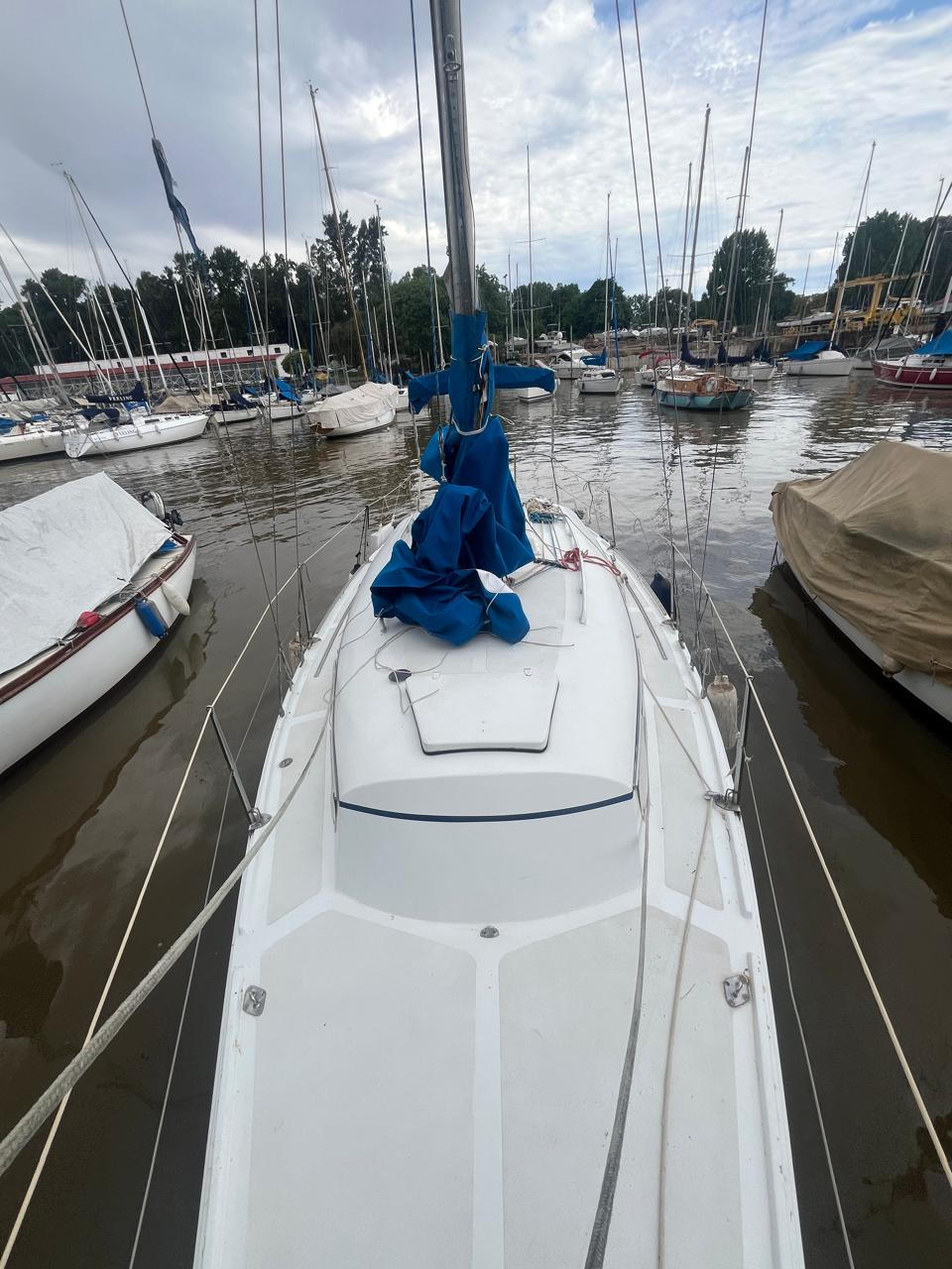 Henny 28’ - Image 14