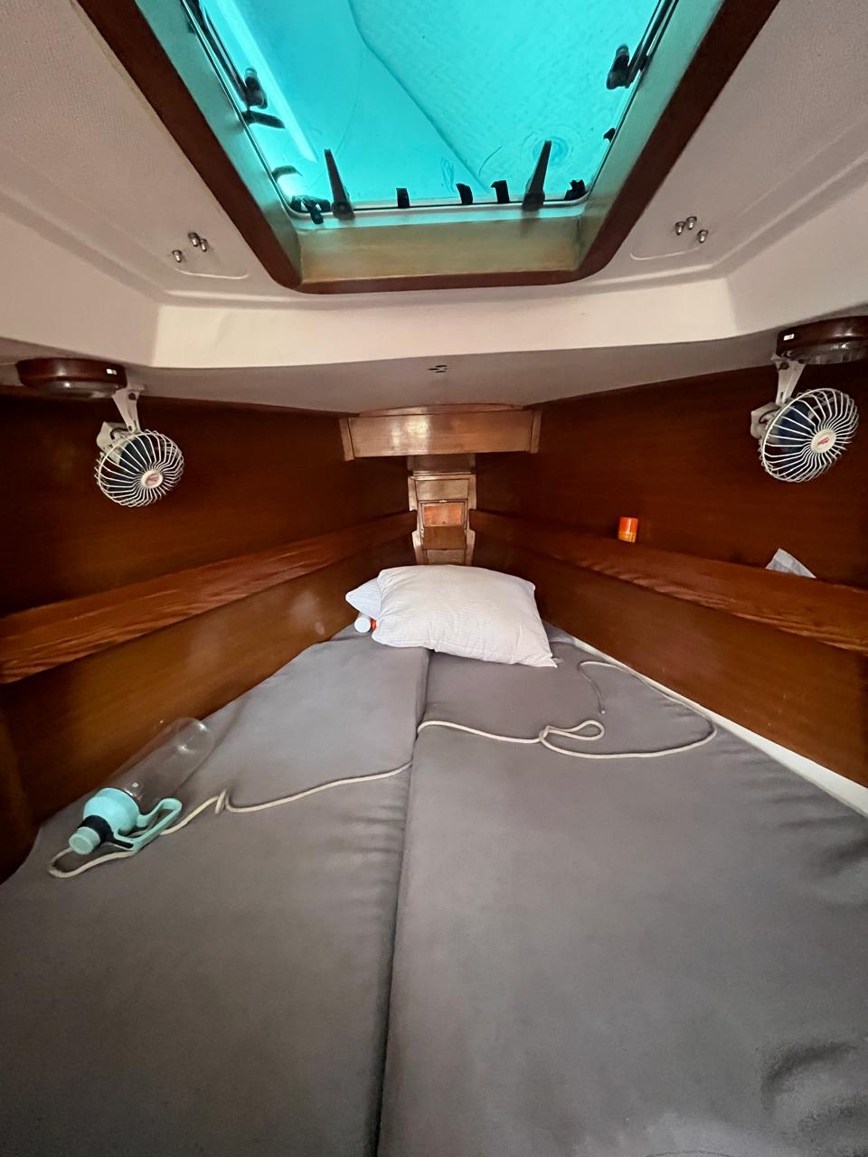 Plenamar 350 - Image 37