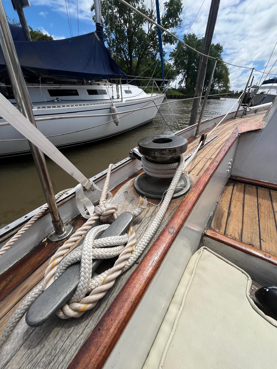 Cibert Sosiego “Cosmos “ - Image 16