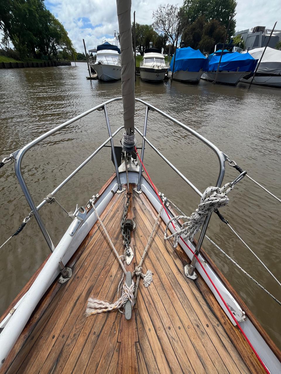 Cibert Sosiego “Cosmos “ - Image 12