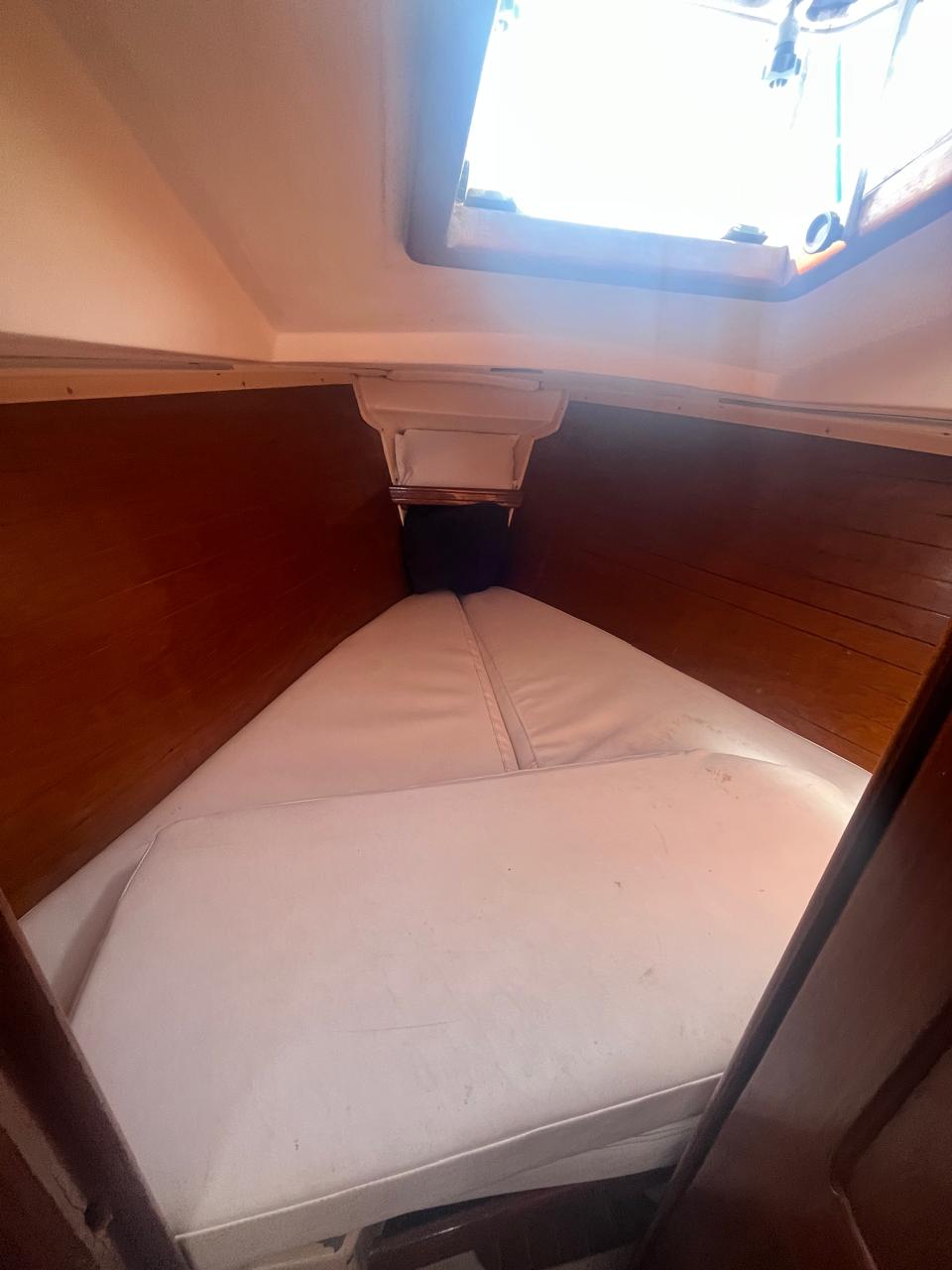 Plenamar 260 - Image 19