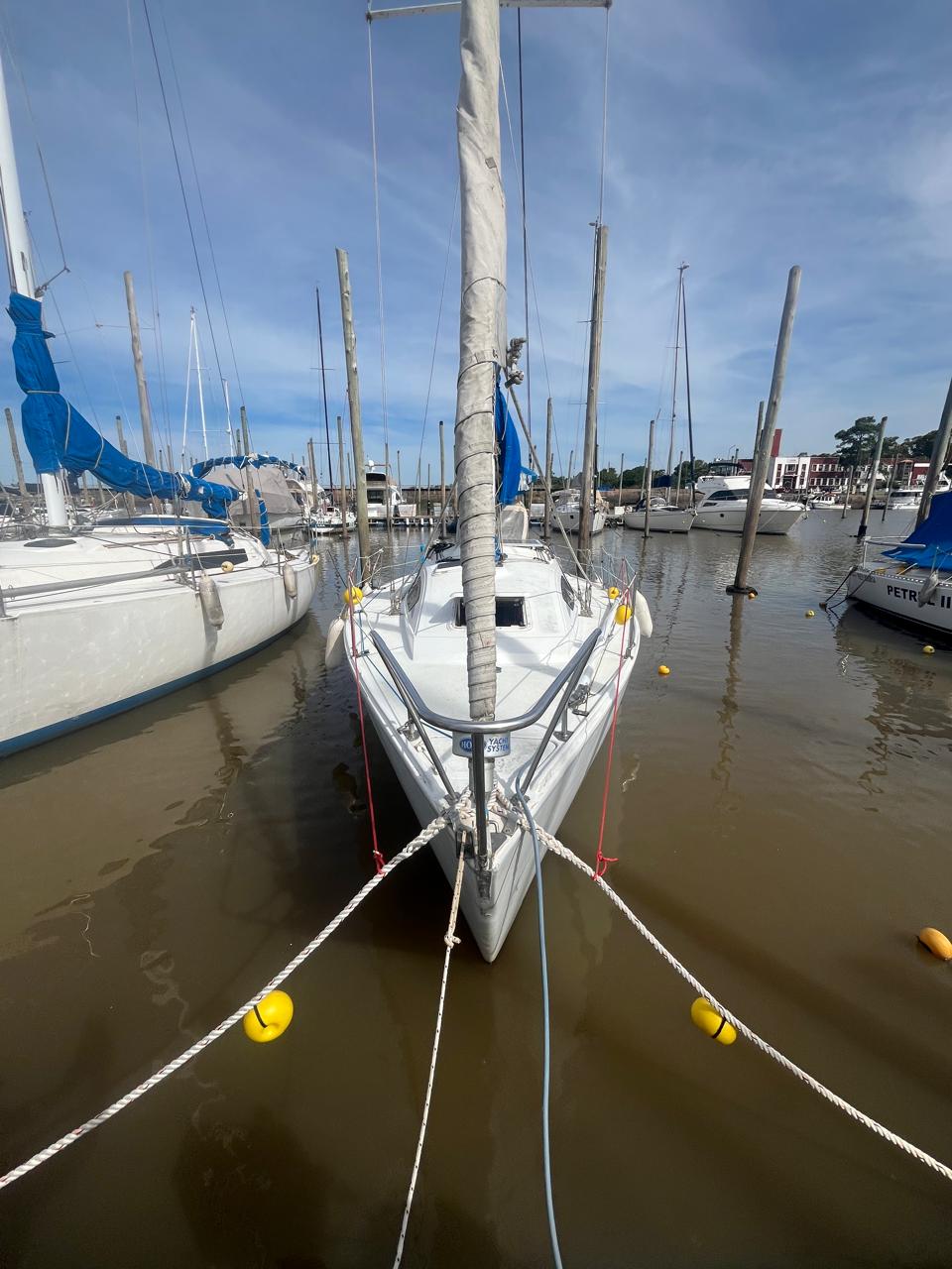 Plenamar 260 - Image 22