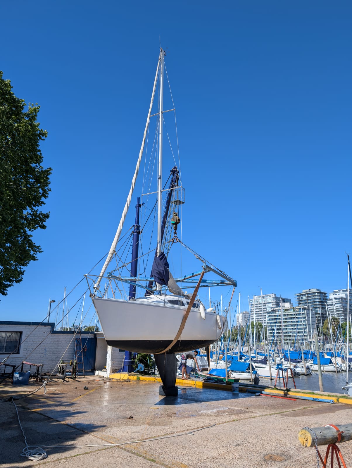 Plenamar 260 - Image 24