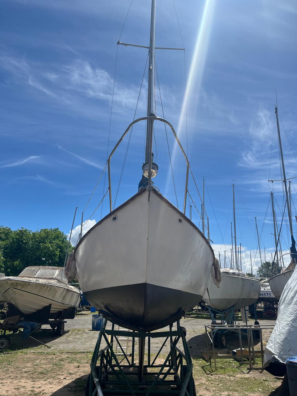 Pandora 23’ - Image 2