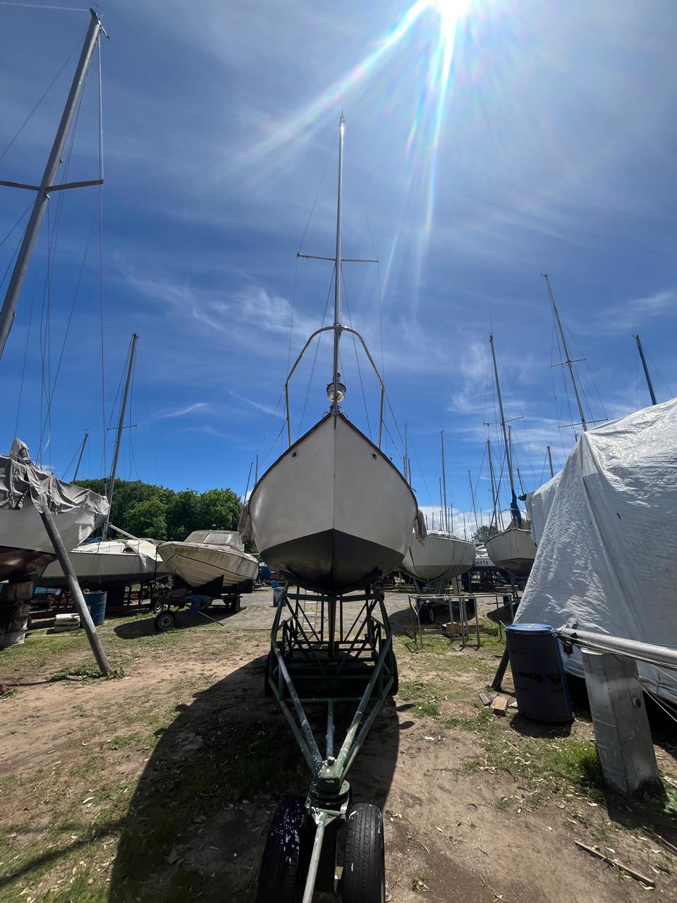 Pandora 23’ - Image 3