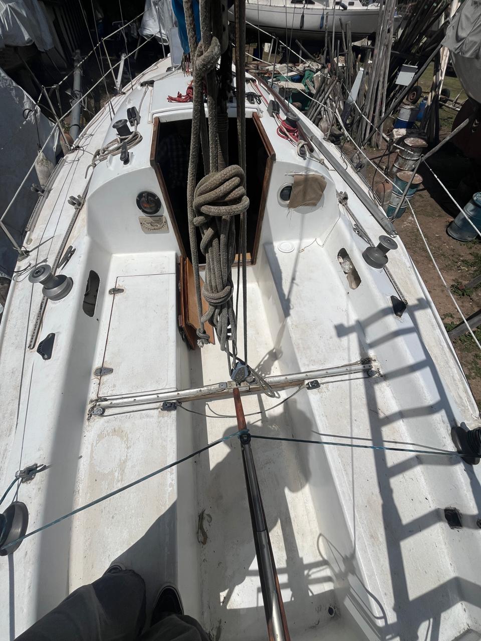 Pandora 23’ - Image 9