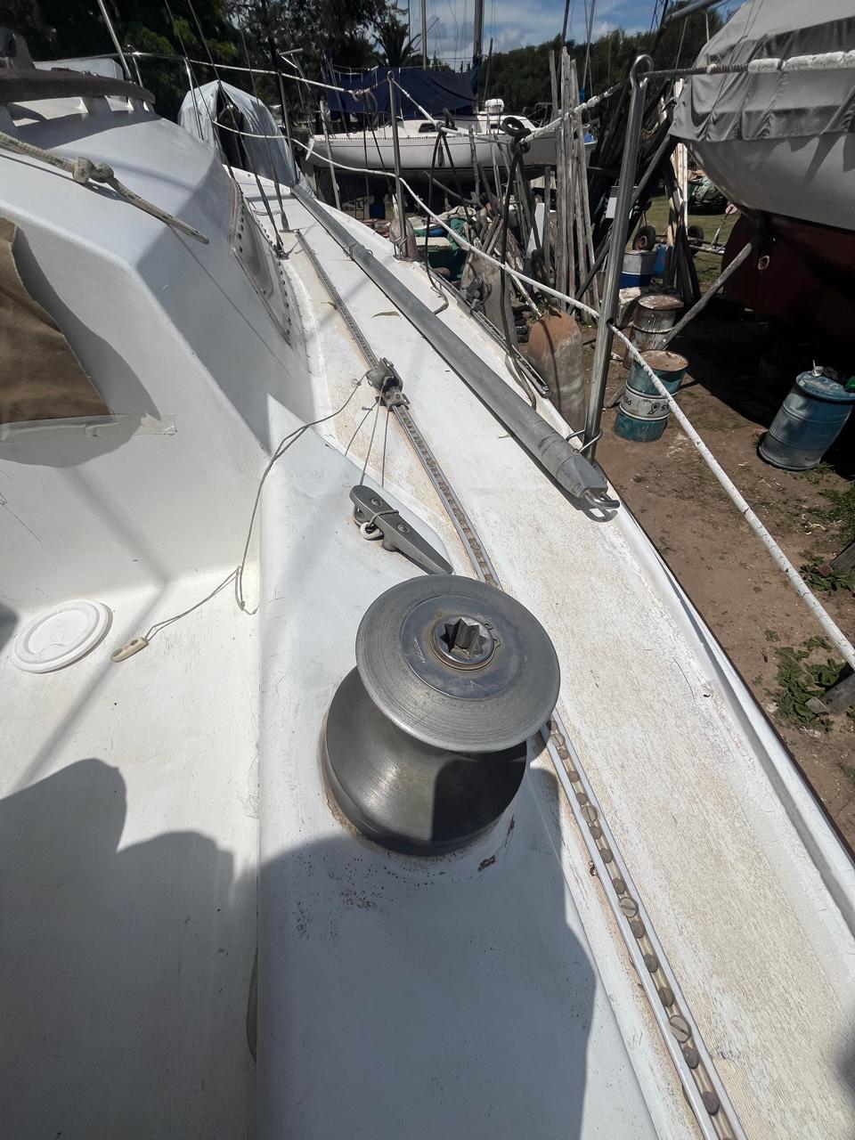 Pandora 23’ - Image 10