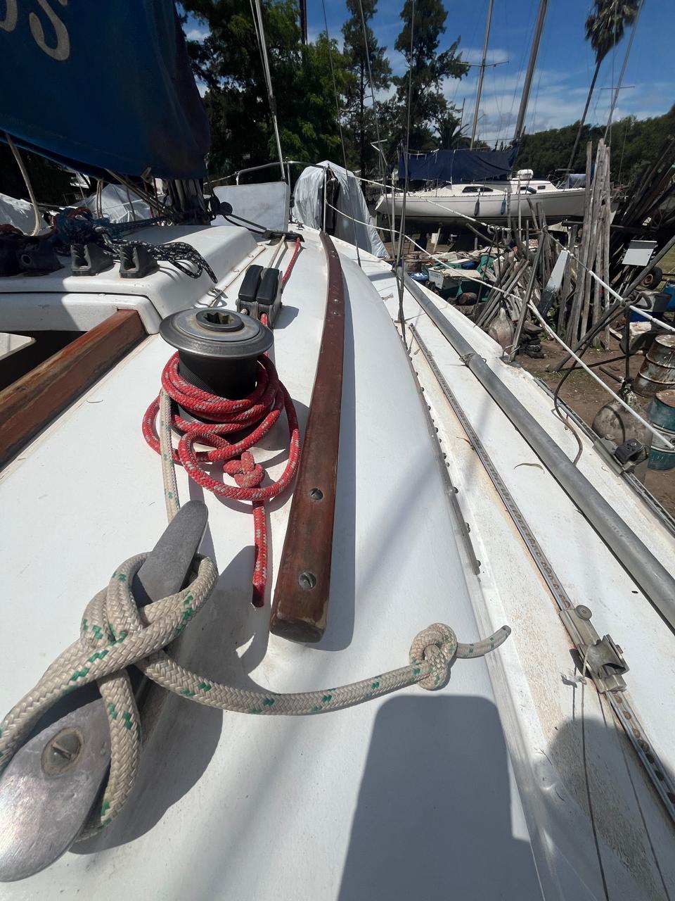 Pandora 23’ - Image 5