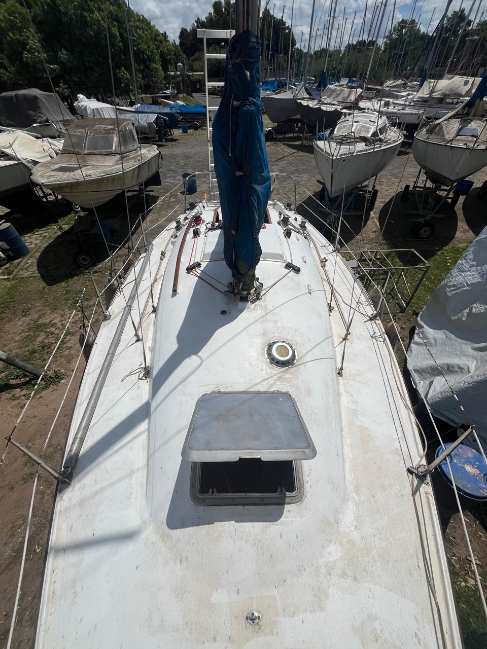 Pandora 23’ - Image 11