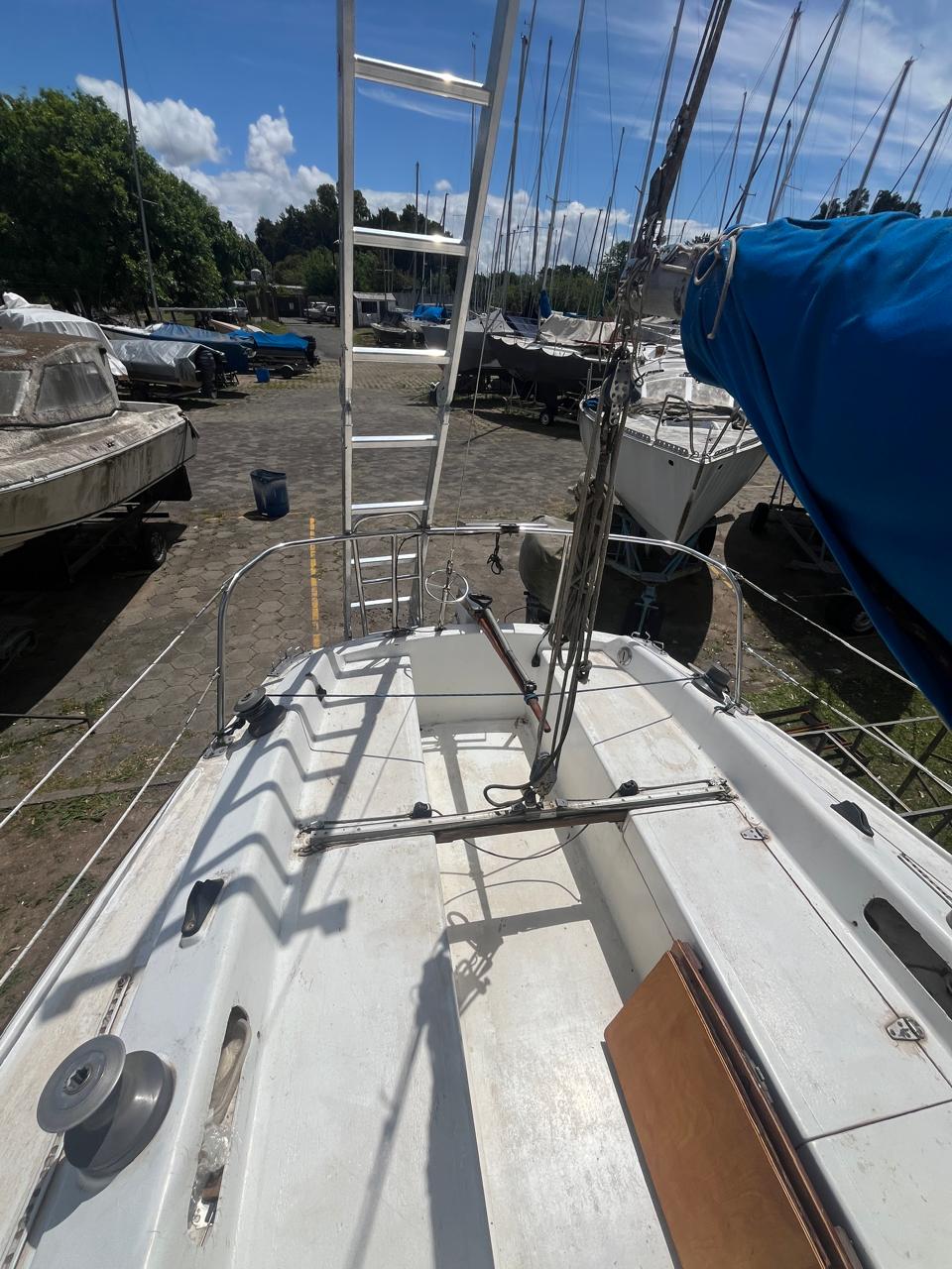 Pandora 23’ - Image 12