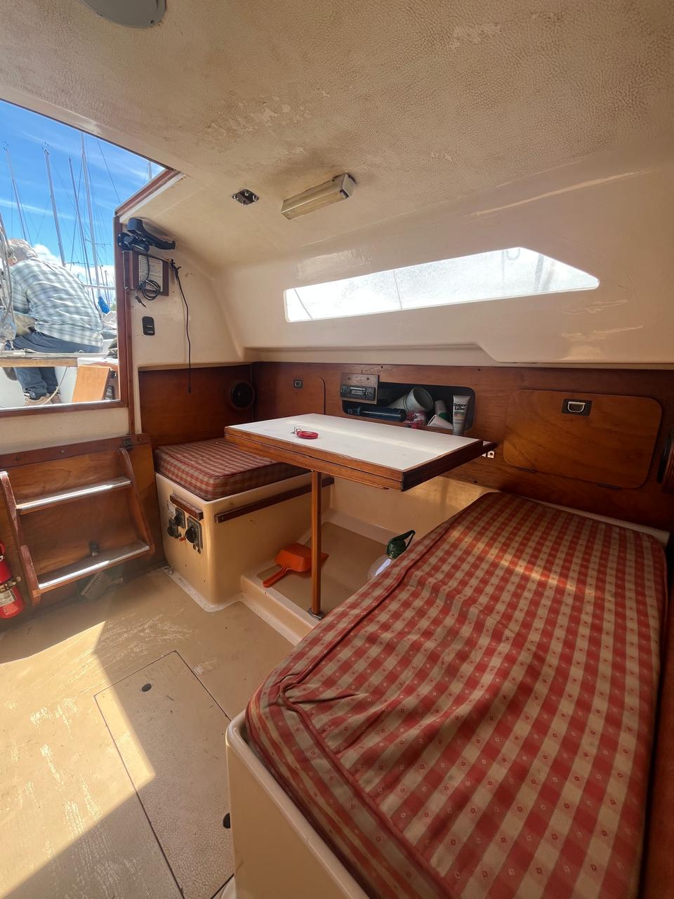 Pandora 23’ - Image 26