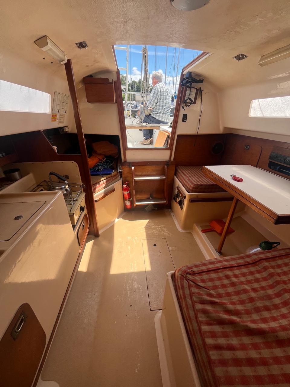 Pandora 23’ - Image 27