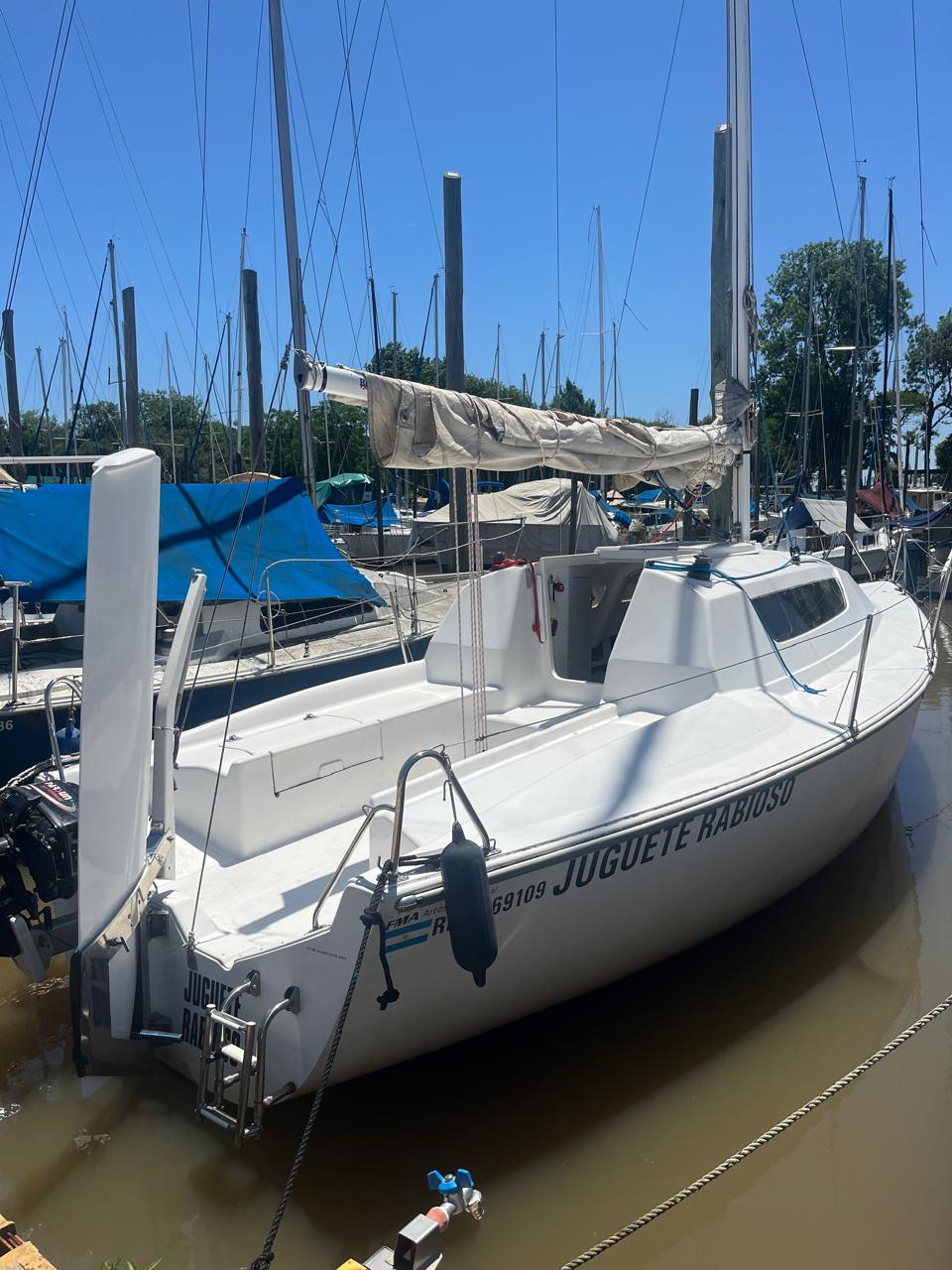 Magic 23’ - Image 5