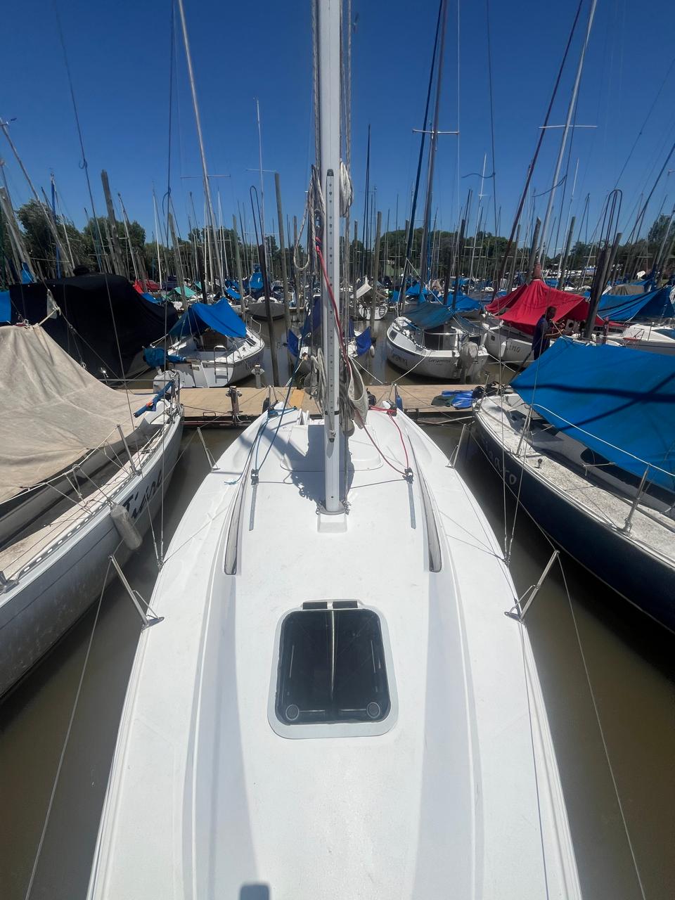 Magic 23’ - Image 12