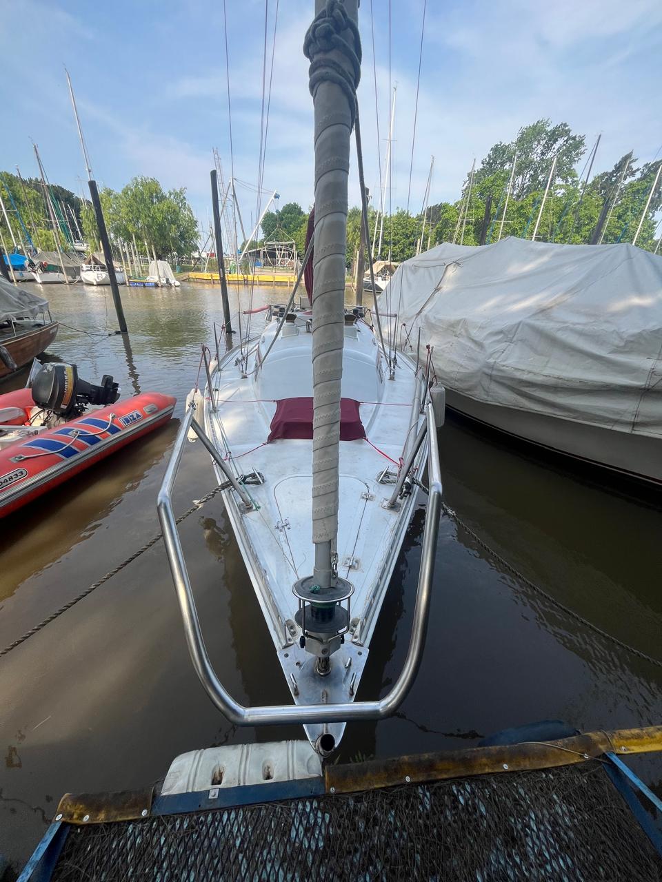 Roy 26’ - Image 2