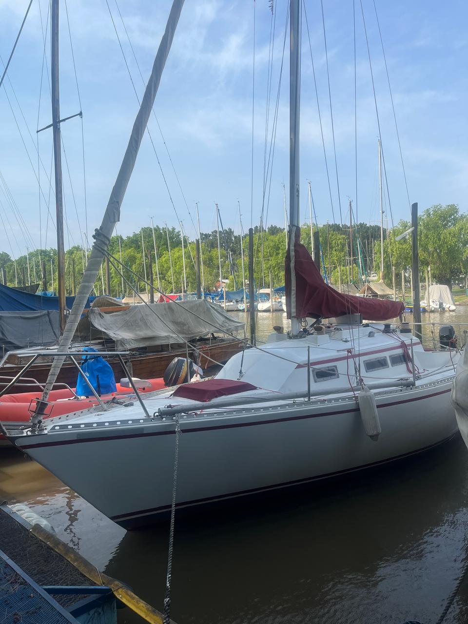 Roy 26’ - Image 4