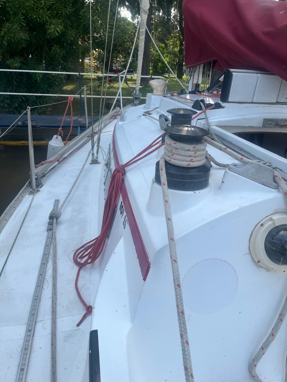 Roy 26’ - Image 5