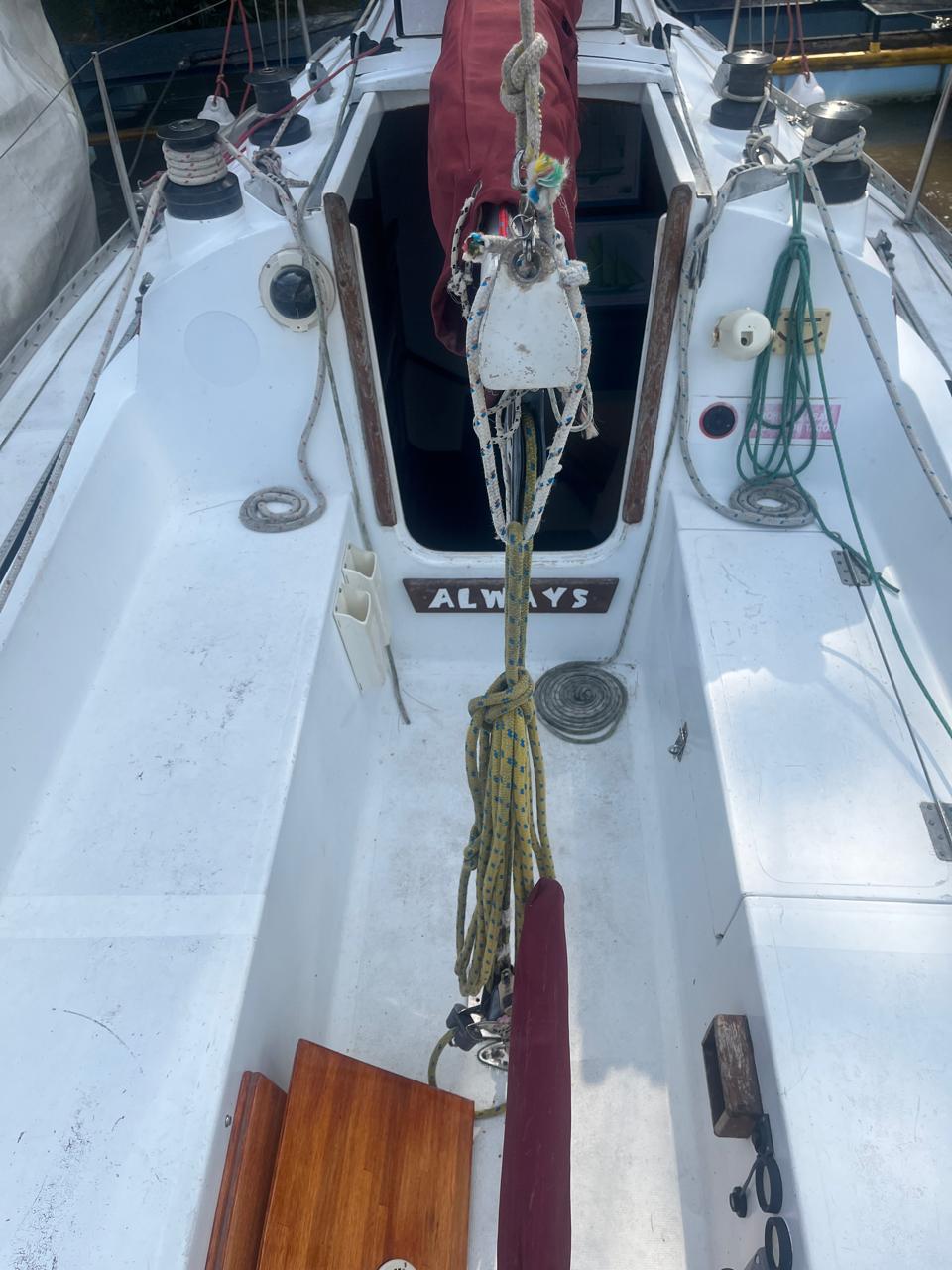 Roy 26’ - Image 6