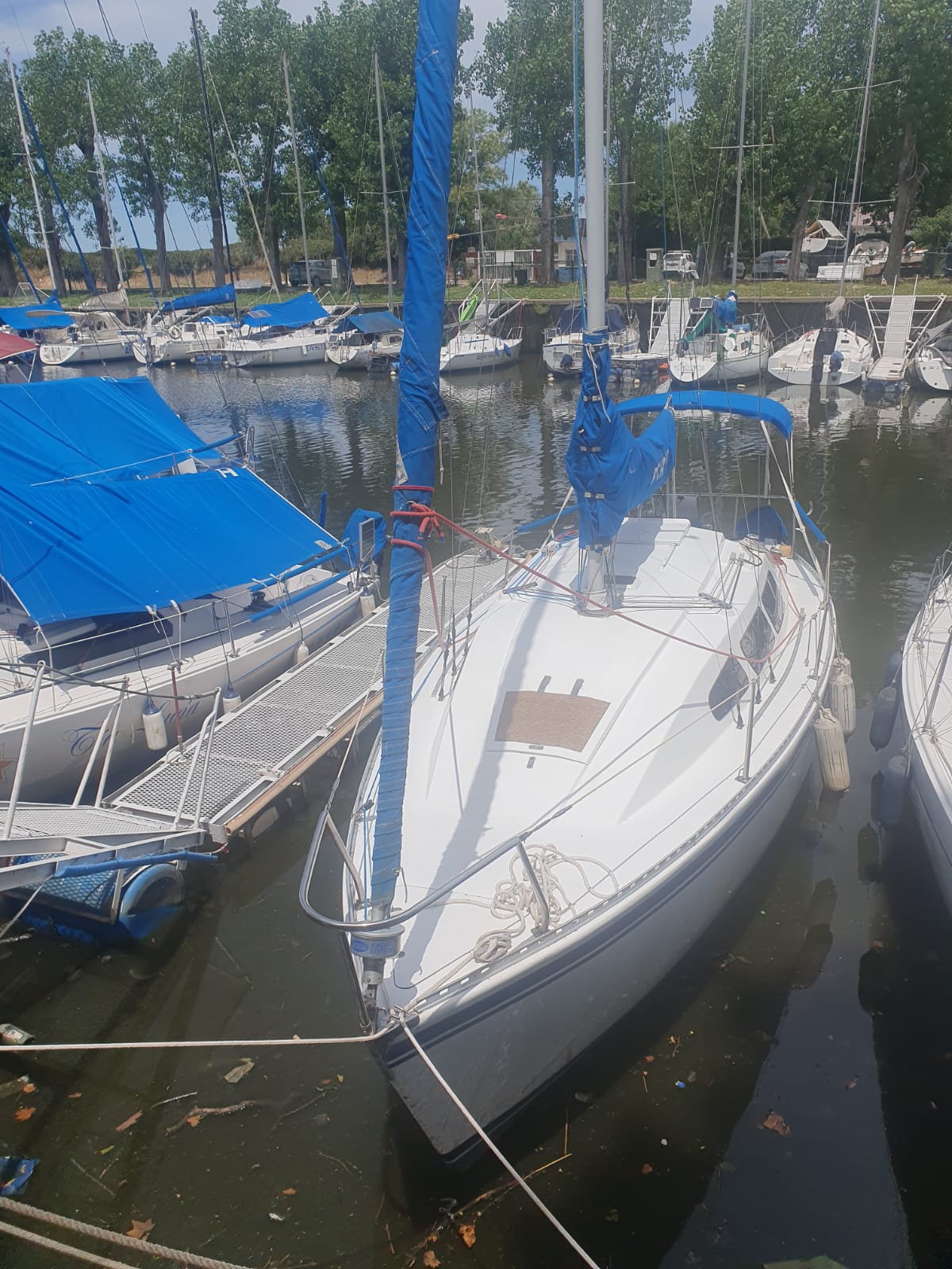 Velero H 26´ - Image 11