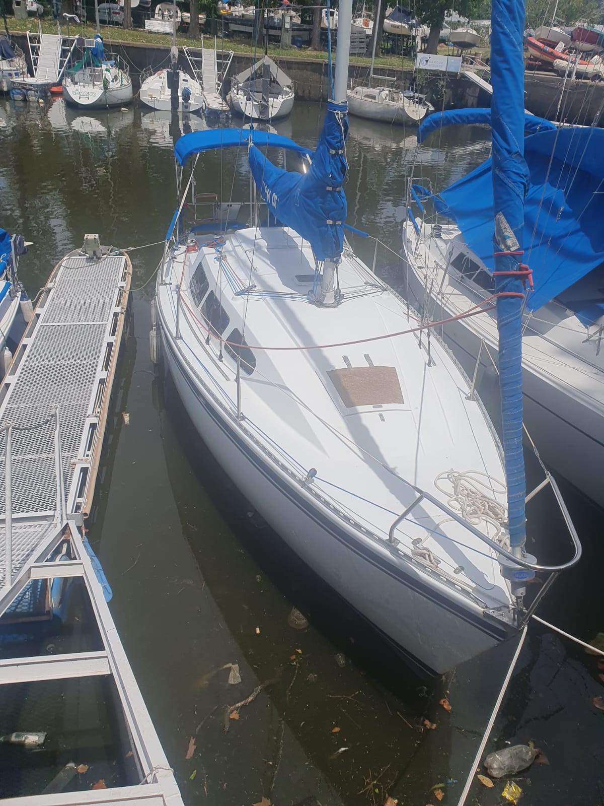 Velero H 26´ - Image 6