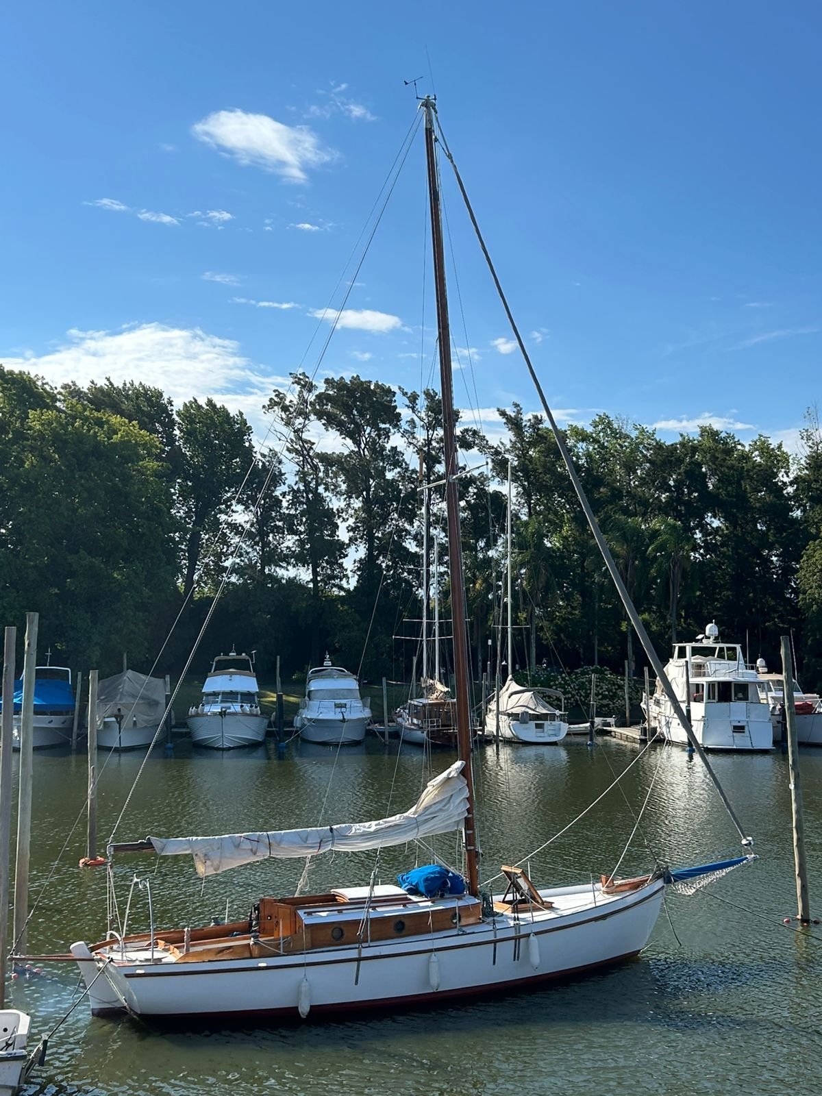 Cutter clásico Ortholan/ Baader - Image 2