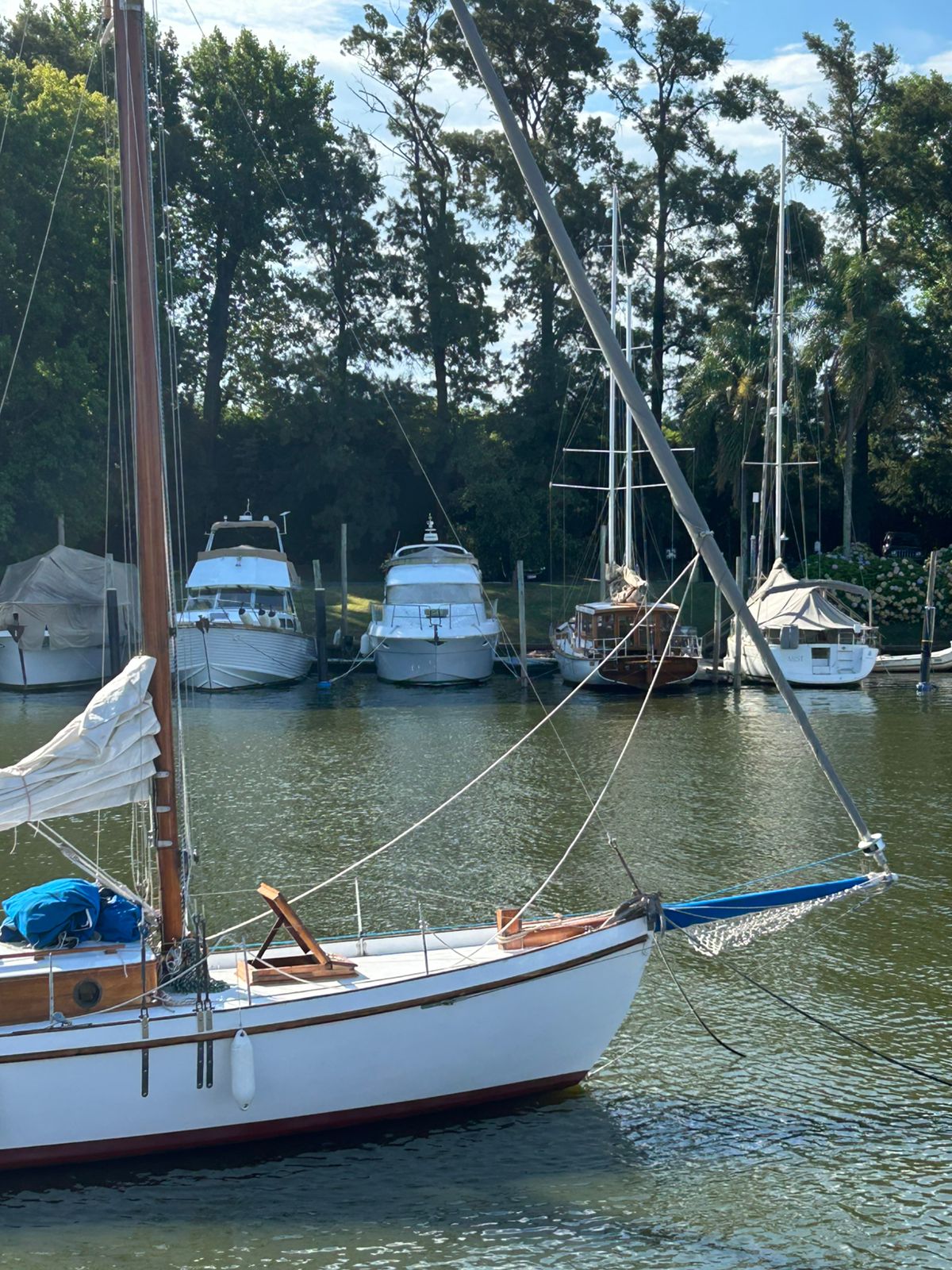 Cutter clásico Ortholan/ Baader - Image 3