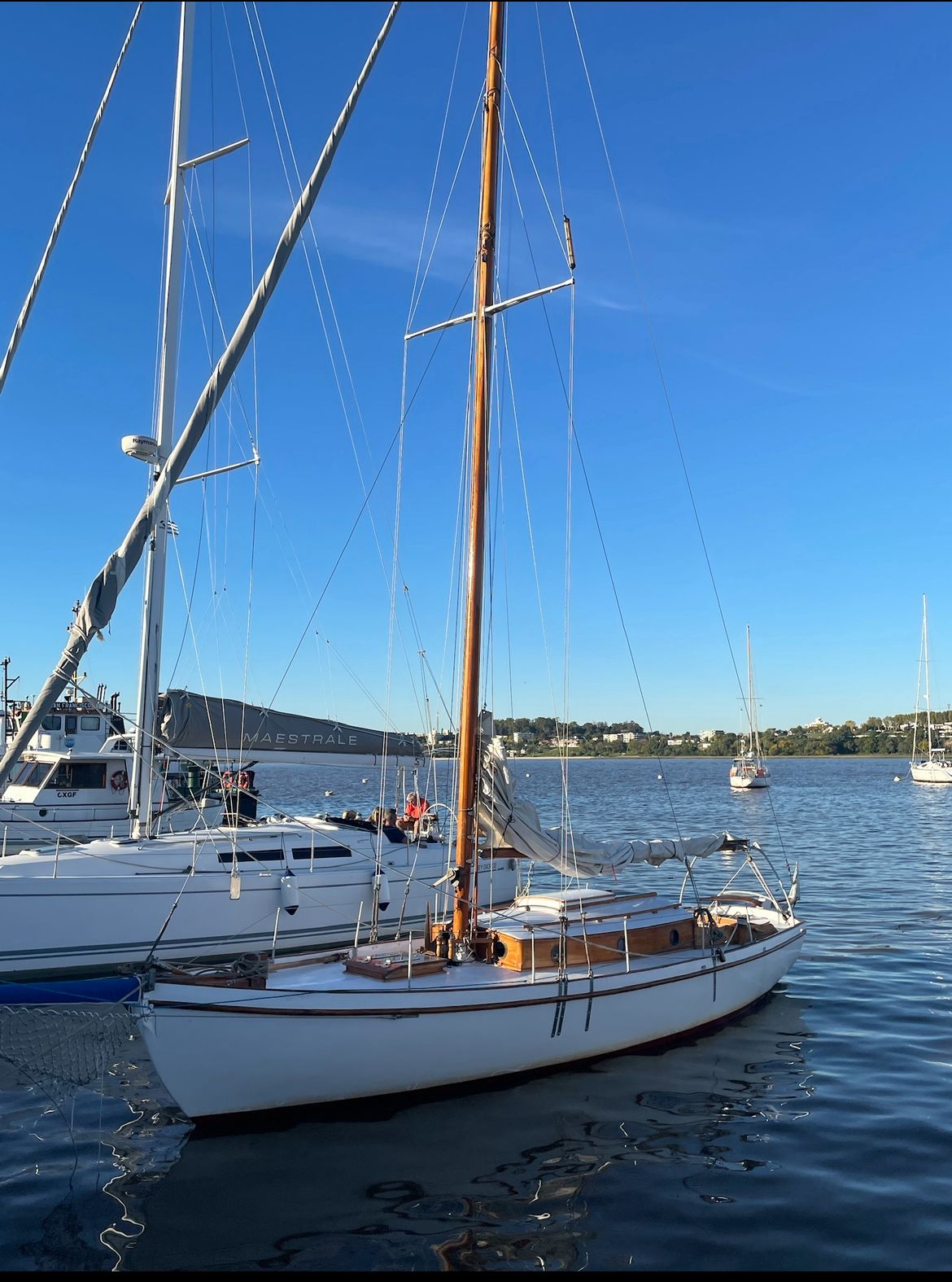 Cutter clásico Ortholan/ Baader - Image 4