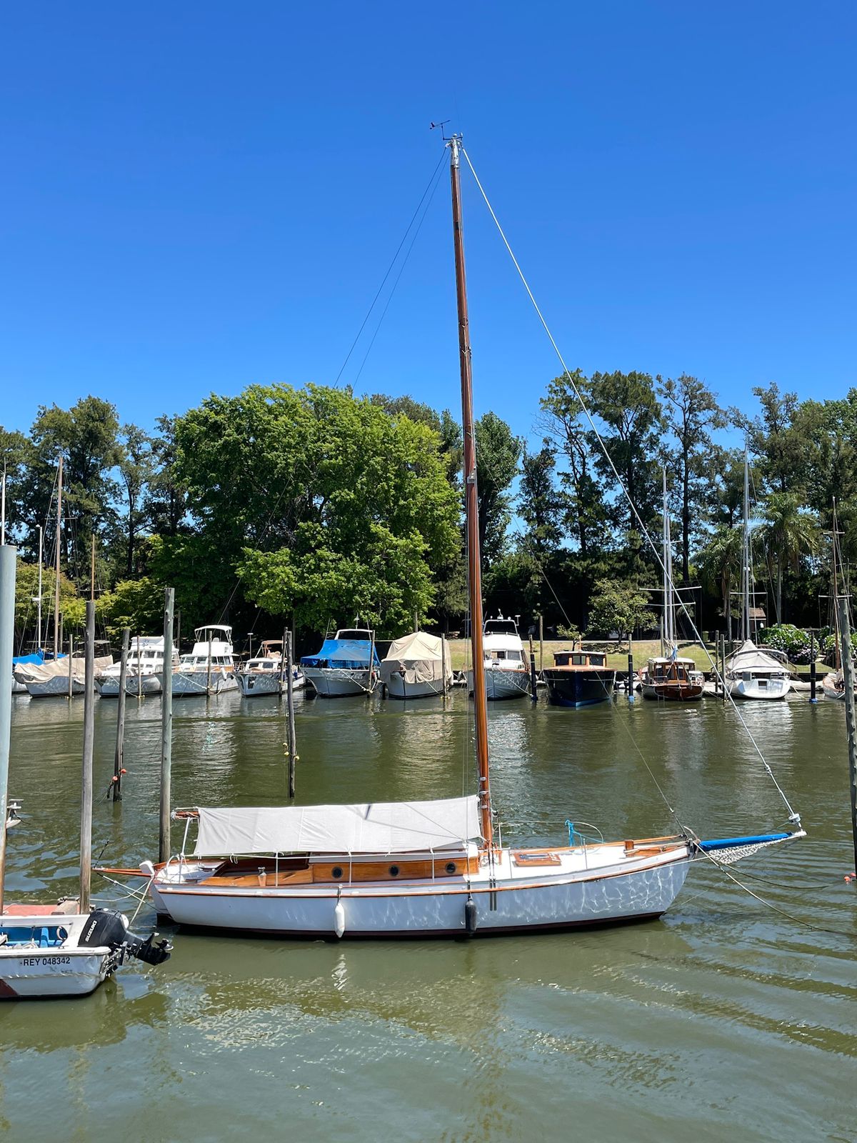 Cutter clásico Ortholan/ Baader - Image 5