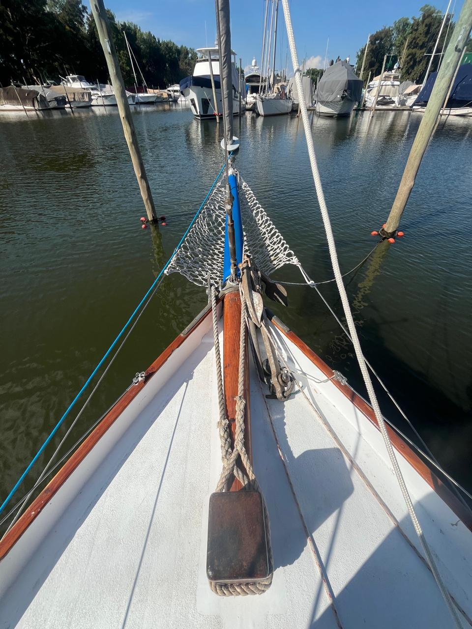 Cutter clásico Ortholan/ Baader - Image 13