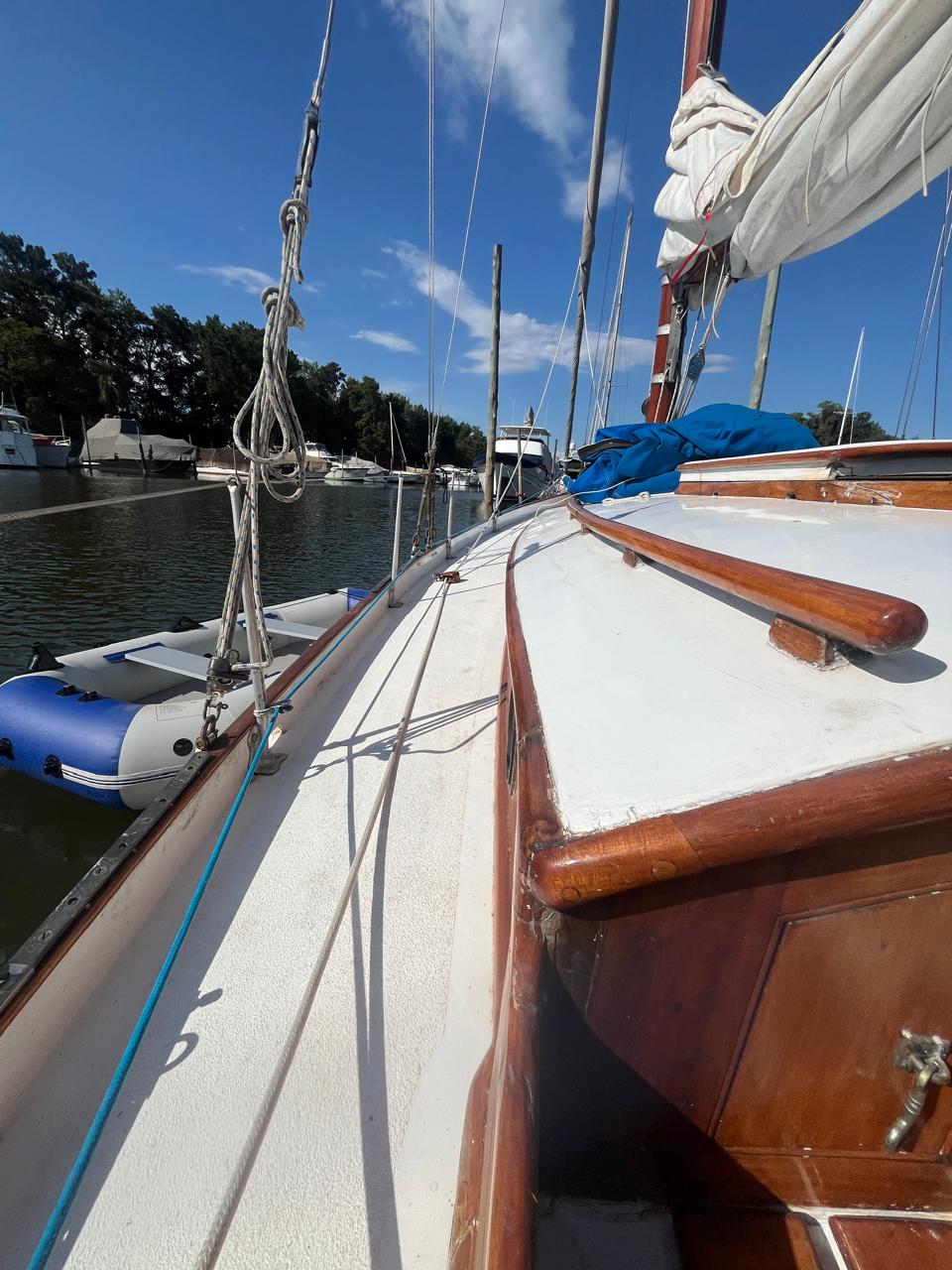 Cutter clásico Ortholan/ Baader - Image 17