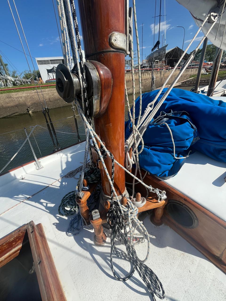 Cutter clásico Ortholan/ Baader - Image 24