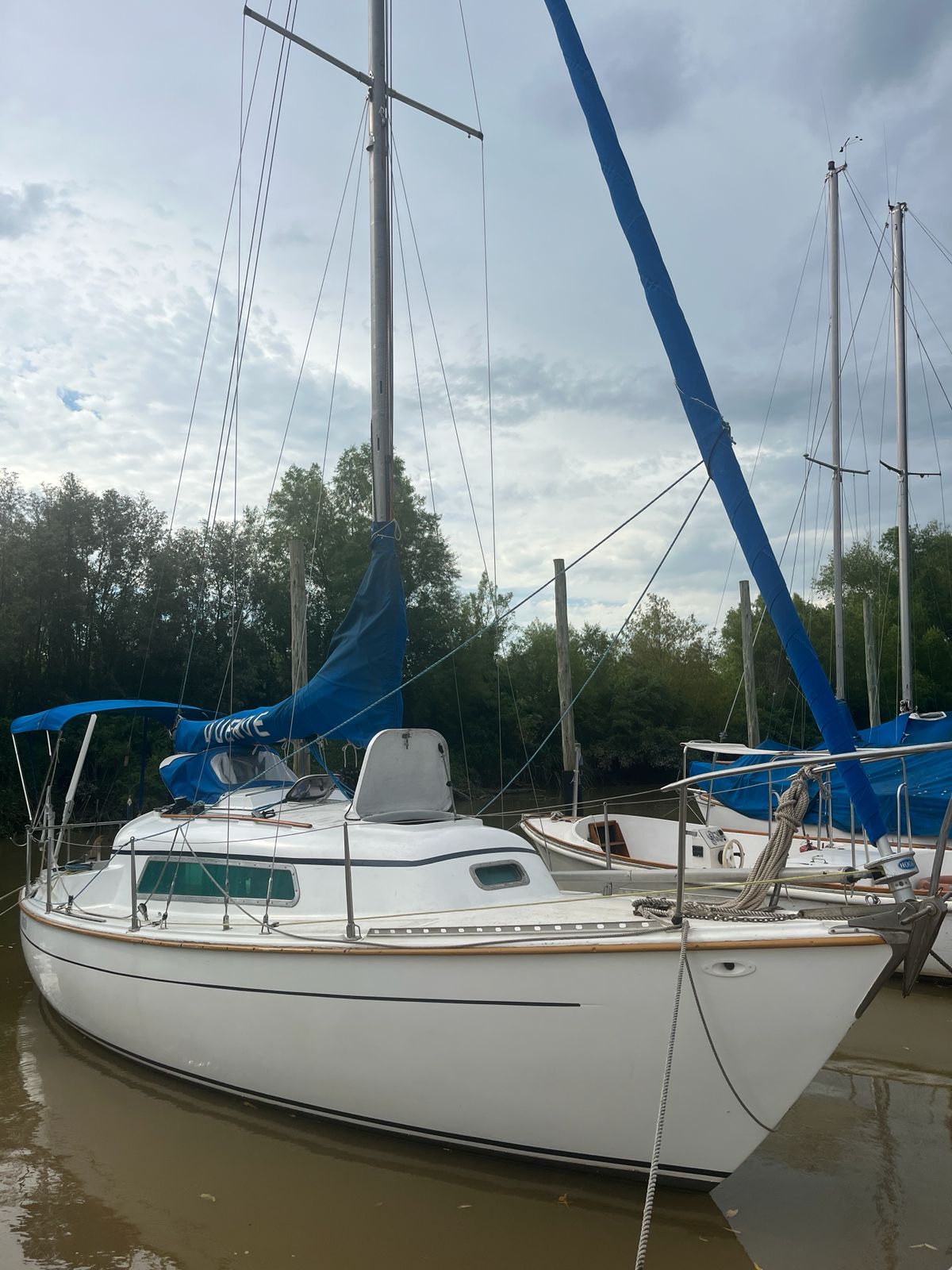 Bries 27’ serie I - Image 2