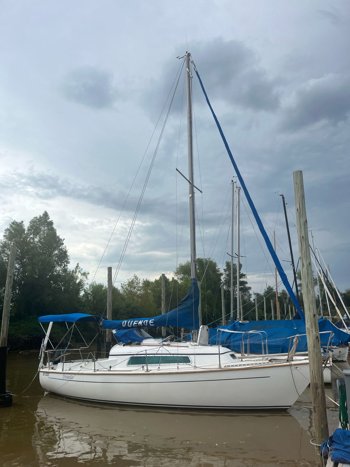 Bries 27’ serie I - Image 3