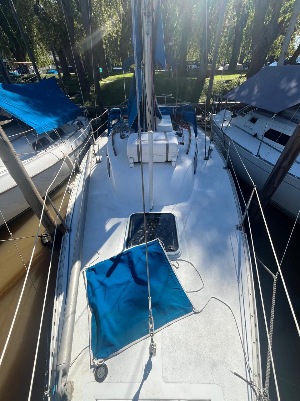 Tritón 28’ - Image 17