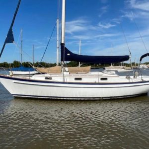 F&C 37´