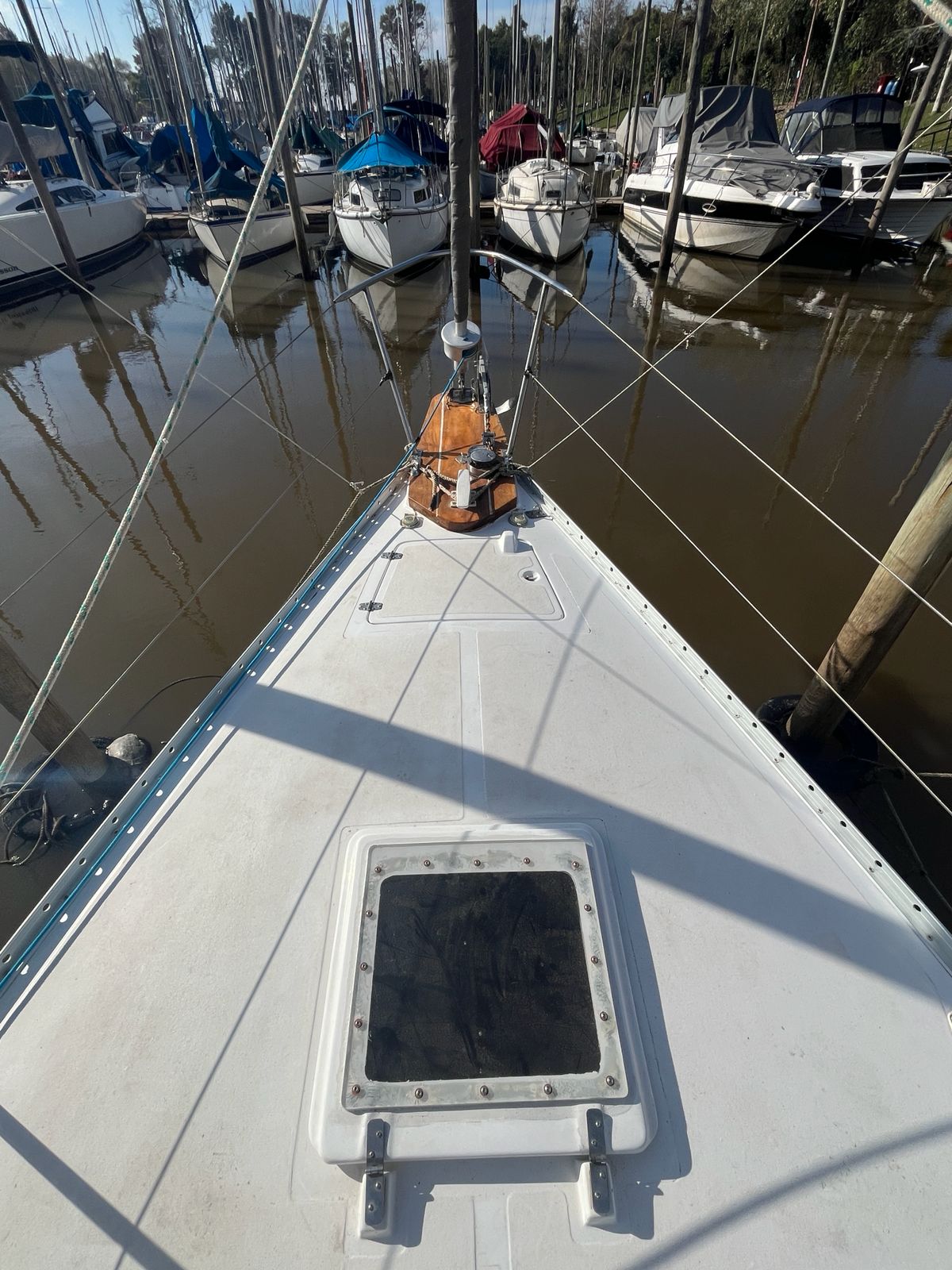 Repunte 88´ - Image 15