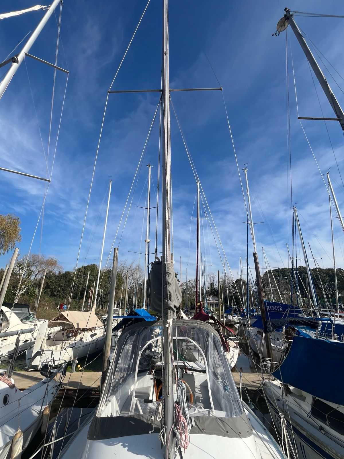 Repunte 88´ - Image 19